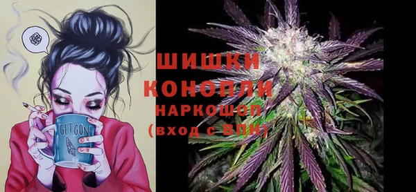 mix Богородицк