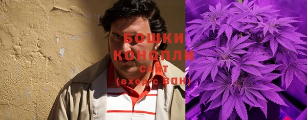 mix Богородицк