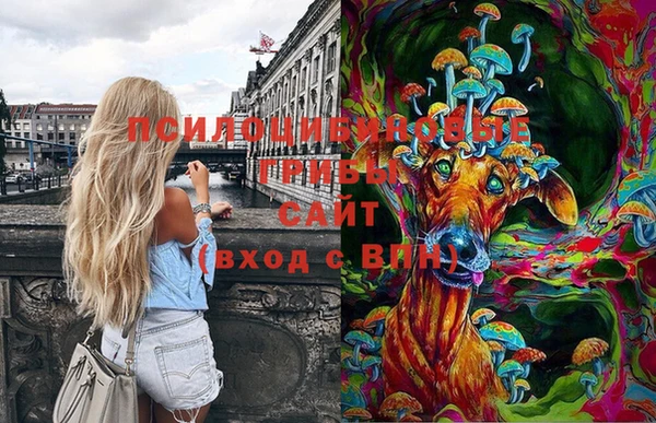 mix Богородицк