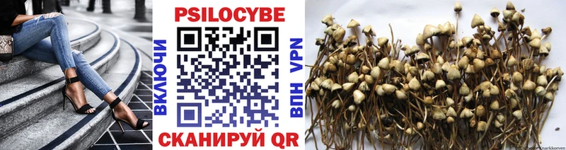 Псилоцибиновые грибы ЛСД  закладки  Гулькевичи 