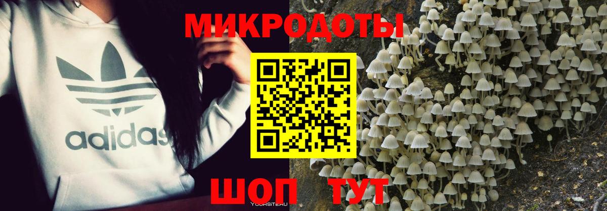 Гулькевичи  Псилоцибиновые грибы мицелий  Вход с VPN 